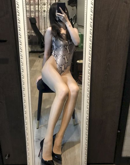 熊出没100集免费看_DVD免费观看超清